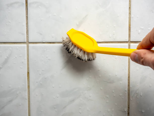 Best Bathroom Mold Remediation in New Prague, MN