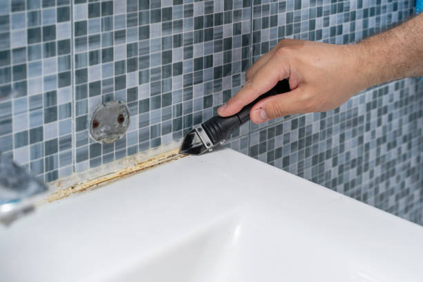 Best Commercial Mold Remediation in New Prague, MN